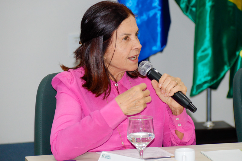 Reuniao 2ª Instancia e Coordenadores 09 Dra Edna