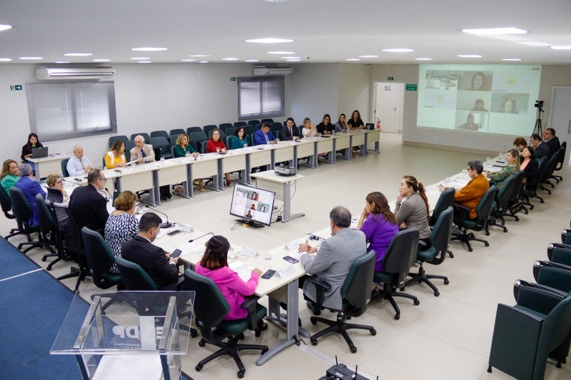 Reuniao 2ª Instancia e Coordenadores 03