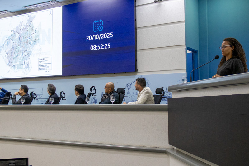 Audiencia Publica Ciclismo Urbano 2