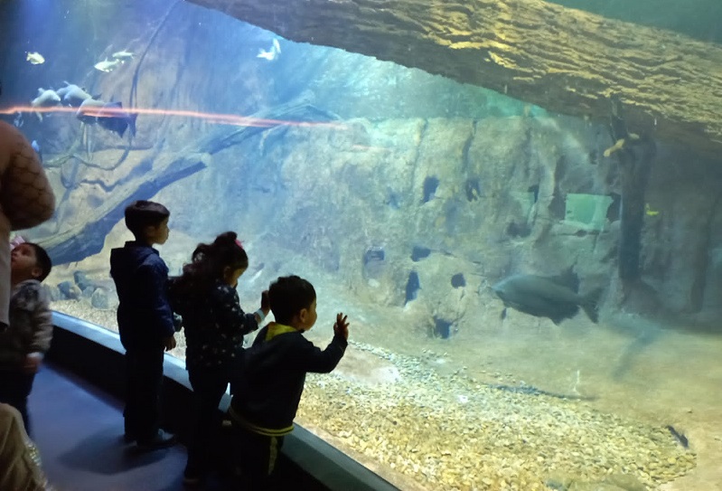 Criancas no Bioparque 2