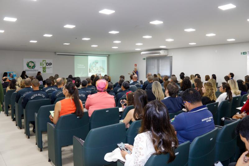 II Congresso DPMS Parto Humanizado 29